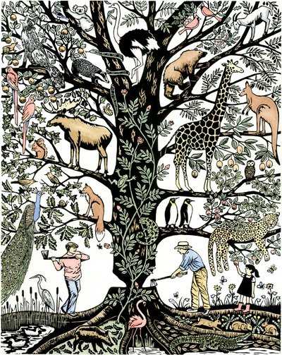 6e extinction de masse - Nat Morley