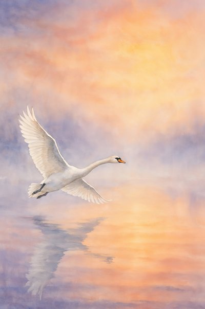 Le reflet majestueux d