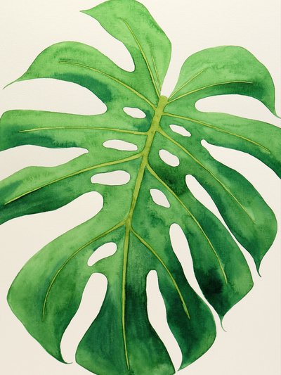 Feuille de monstera tropical - Natalie Bruns