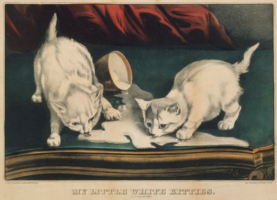 Mes petits chats blancs - En bêtises - Currier and Ives