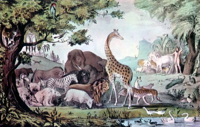Adam nommant les créatures - Nathaniel Currier