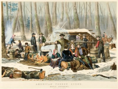 Scène de forêt américaine - Sucrerie d