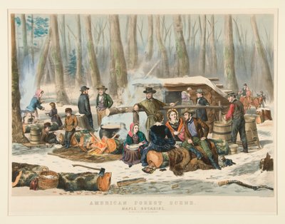 Scène de forêt américaine, récolte de sirop d