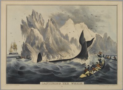 Capture de la baleine - Nathaniel Currier