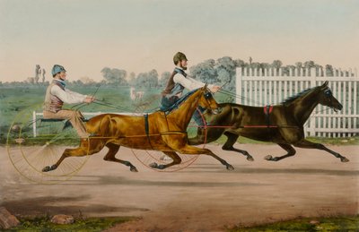 Flora Temple et Highland Maid - Nathaniel Currier