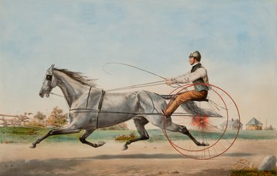 Eddy le gris - Nathaniel Currier