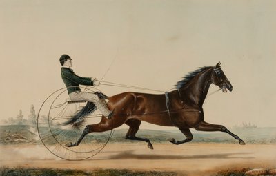 Mac - Nathaniel Currier