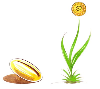 Graine et pousse - illustration d