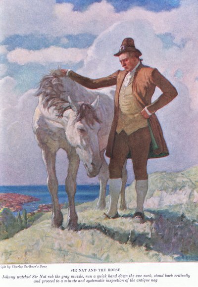 Sir Nat et le cheval : Johnny regardait Sir Nat frotter le museau gris ; reculer et procéder à une inspection minutieuse et systématique - Newell Convers Wyeth