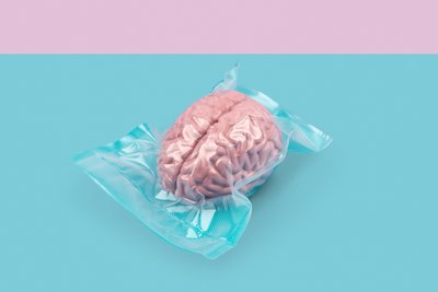 Cerveau, 2020 - Niccolò Fioriti