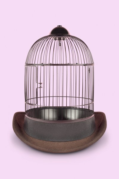 Cage mentale, 2020 - Niccolò Fioriti