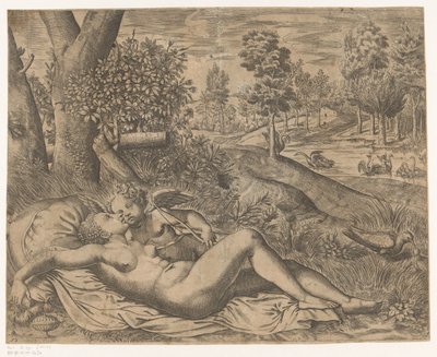 Vénus et Cupidon - Niccolò Nelli
