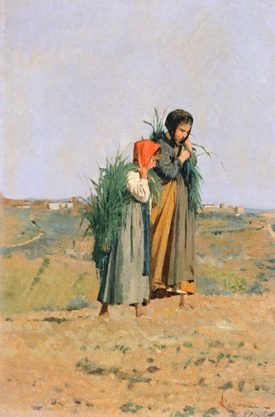 Erbaiole - Niccolo Cannicci