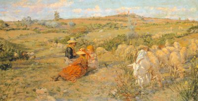 Fleurs de montagne - Niccolo Cannicci