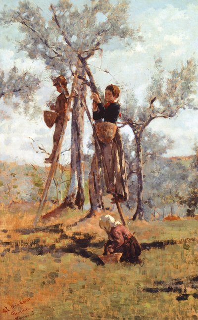 La récolte des olives, vers 1892 - Niccolo Cannicci