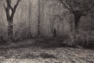 Dans la forêt de Vienne - Nichol Elliot