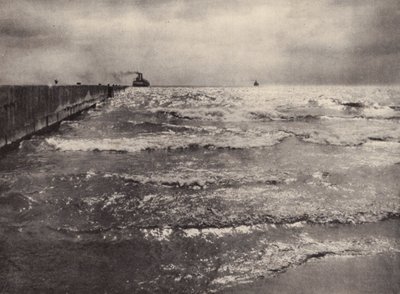 Été, Lac Ontario - Nichol Elliot