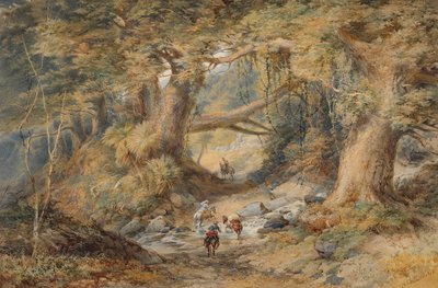 Traversée de la rivière Teremakau - Nicholas Chevalier