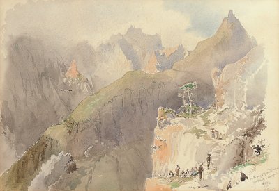 Tenerife et Madère - Nicholas Chevalier
