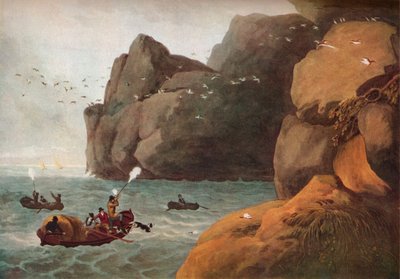 Chasse au macareux - Nichols and Merke