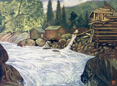 Norvège : Rivière à Haukeli - Nico Jungman