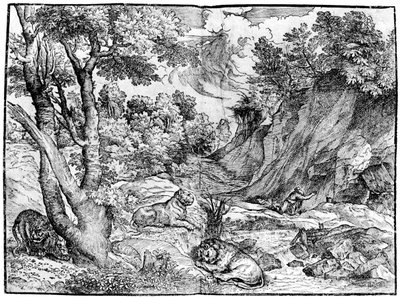 Grand paysage avec Saint Jérôme - Nicolò Boldrini