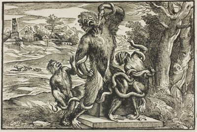 Laocoon - Nicolò Boldrini