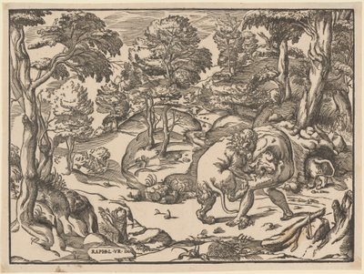 Hercule et le lion de Némée - Nicolò Boldrini, after Raphael