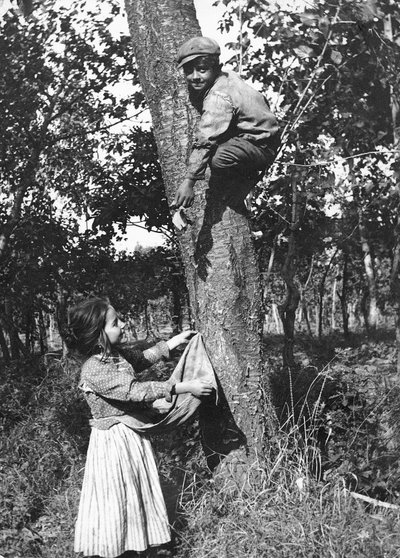 Un petit garçon sur un arbre fruitier cueille des fruits pour une petite fille, Molise - Nicola Biondi