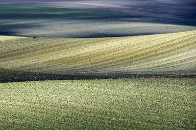  - Nicola Figliuolo
