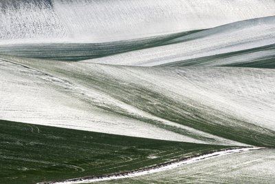  - Nicola Figliuolo