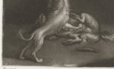 Deux chiens jouant - Nicolaas Verkolje