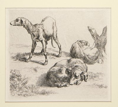 2 gravures de la série Divers Animaux, avec l