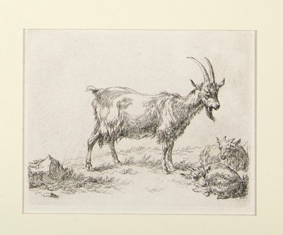 6 gravures de - Nicolaes Berchem