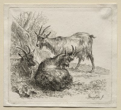Animalia : Trois chèvres - Nicolaes Berchem
