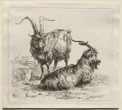 Animalia : Deux chèvres - Nicolaes Berchem
