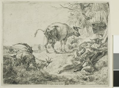 Vache se soulageant - Nicolaes Berchem