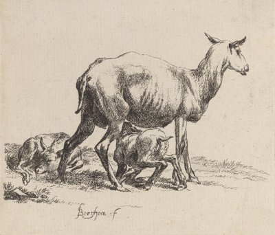 Brebis Allaitant son Agneau - Nicolaes Berchem
