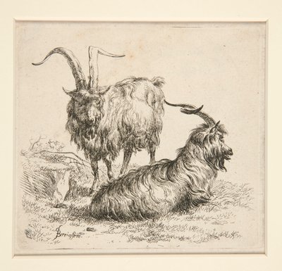Chèvres (de - Nicolaes Berchem