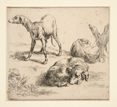 Trois chiens de chasse - Nicolaes Berchem