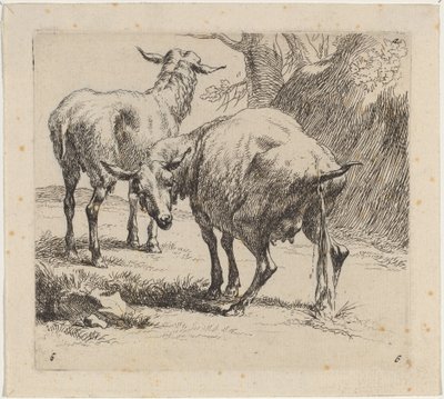 Deux Moutons, Un Pissant - Nicolaes Berchem