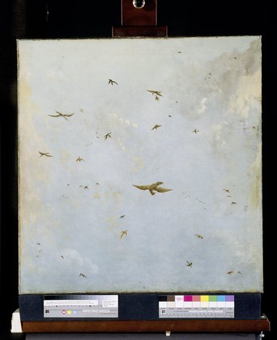 Plafond de maison de poupée avec ciel nuageux et oiseaux - Nicolaes Piemont (attributed to)