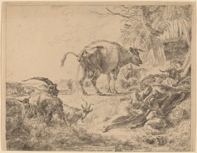 Vache urinant - Nicolaes Pietersz Berchem