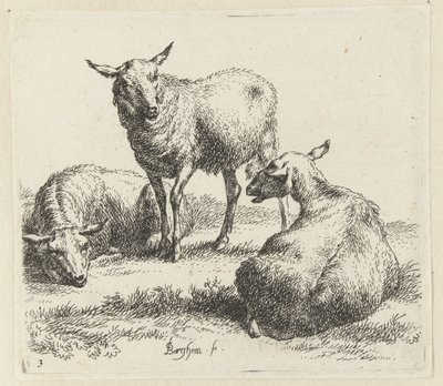 Trois moutons (Animalia ad vivum delineata et aqua forti aeri impressa Studio et Arte Nicolai Berchemi) - Nicolaes Pietersz Berchem