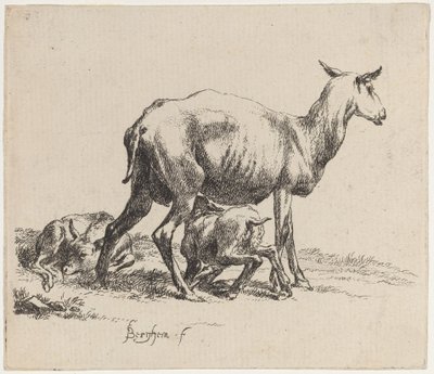 Brebis allaitant son agneau - Nicolaes Pietersz Berchem