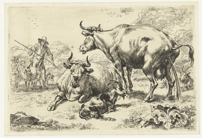 Vache couchée et vache urinant - Nicolaes Pietersz Berchem