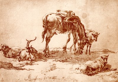 Pâturage avec âne, chèvre et mouton - Nicolaes Pietersz. Berchem