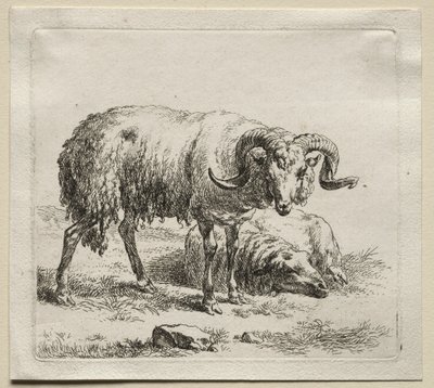 Bélier et mouton - Nicolaes Pietersz. Berchem