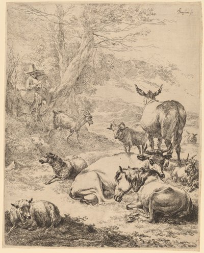 Troupeau au repos - Nicolaes Pietersz Berchem