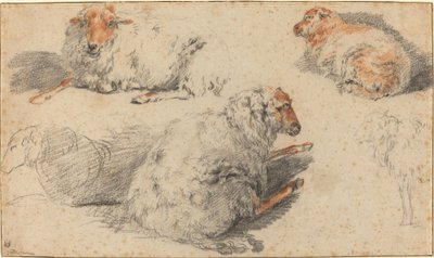 Moutons - Nicolaes Pietersz Berchem